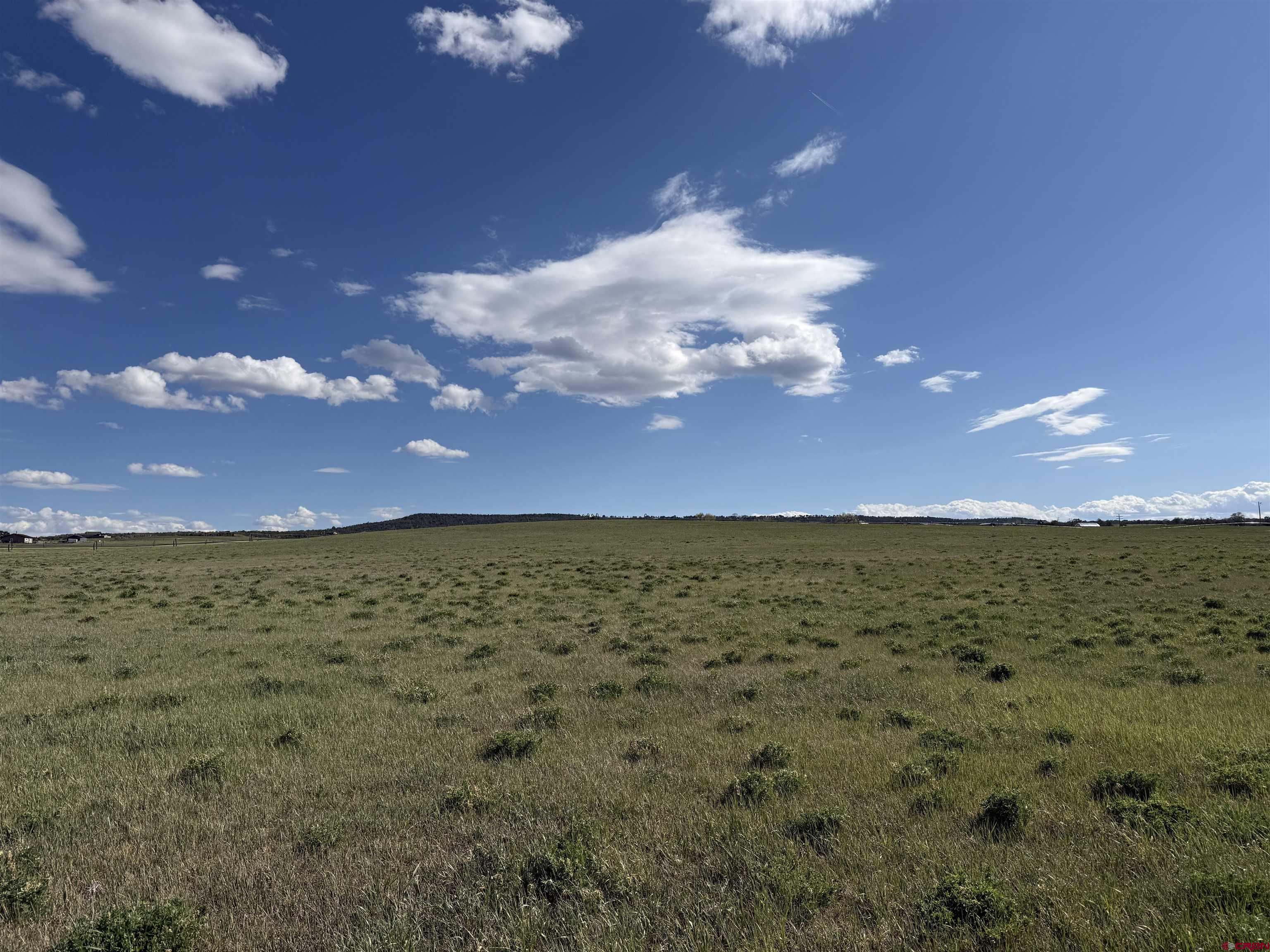 38832 Fruitland Mesa Road Crawford, CO 81415 - Photo 3 of 41
