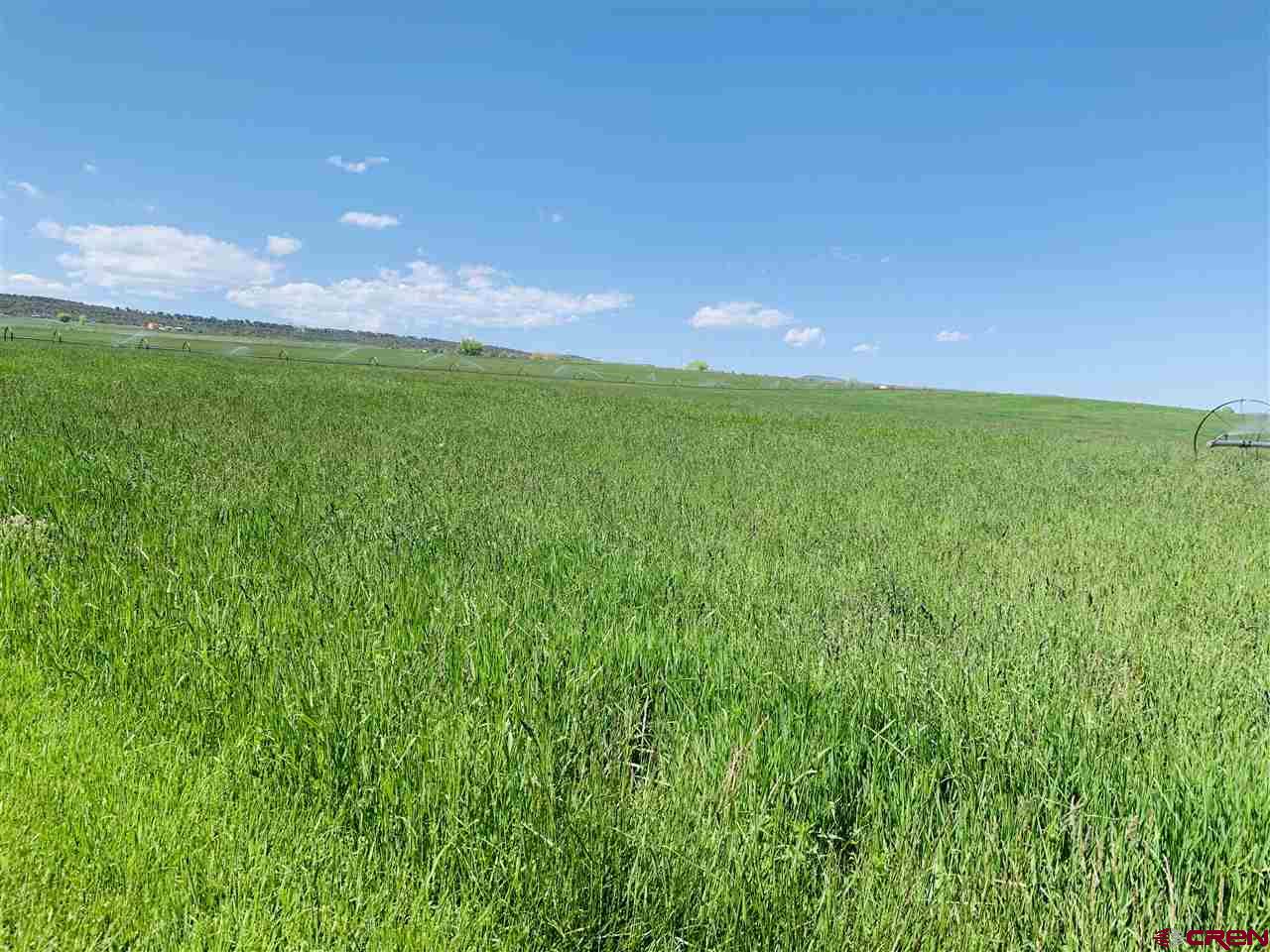 38832 Fruitland Mesa Road Crawford, CO 81415 - Photo 34 of 41 a view of an ocean from a yard