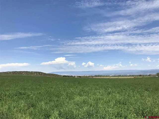 a view of a town with mountains in the background