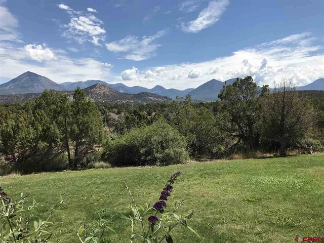 a view of an ocean from a yard