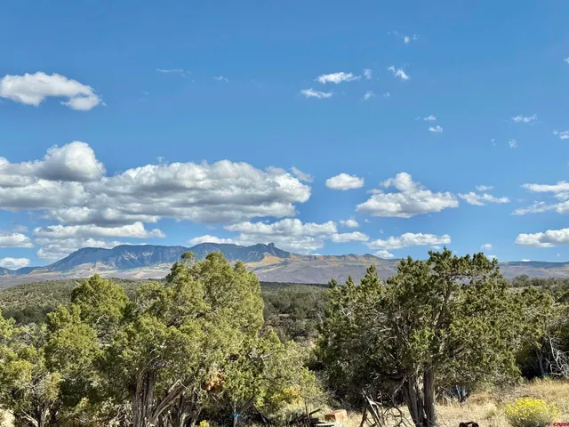 a house view with a backyard space