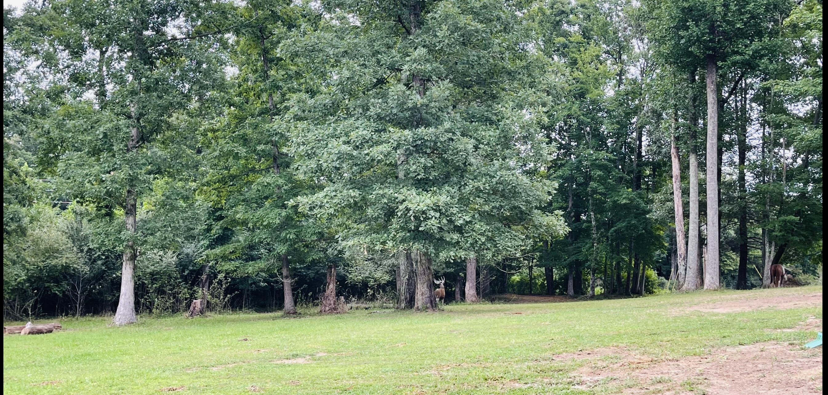 5295 Henson Gap Road Dunlap, TN 37327 - Photo 45 of 51 IMG_6032
