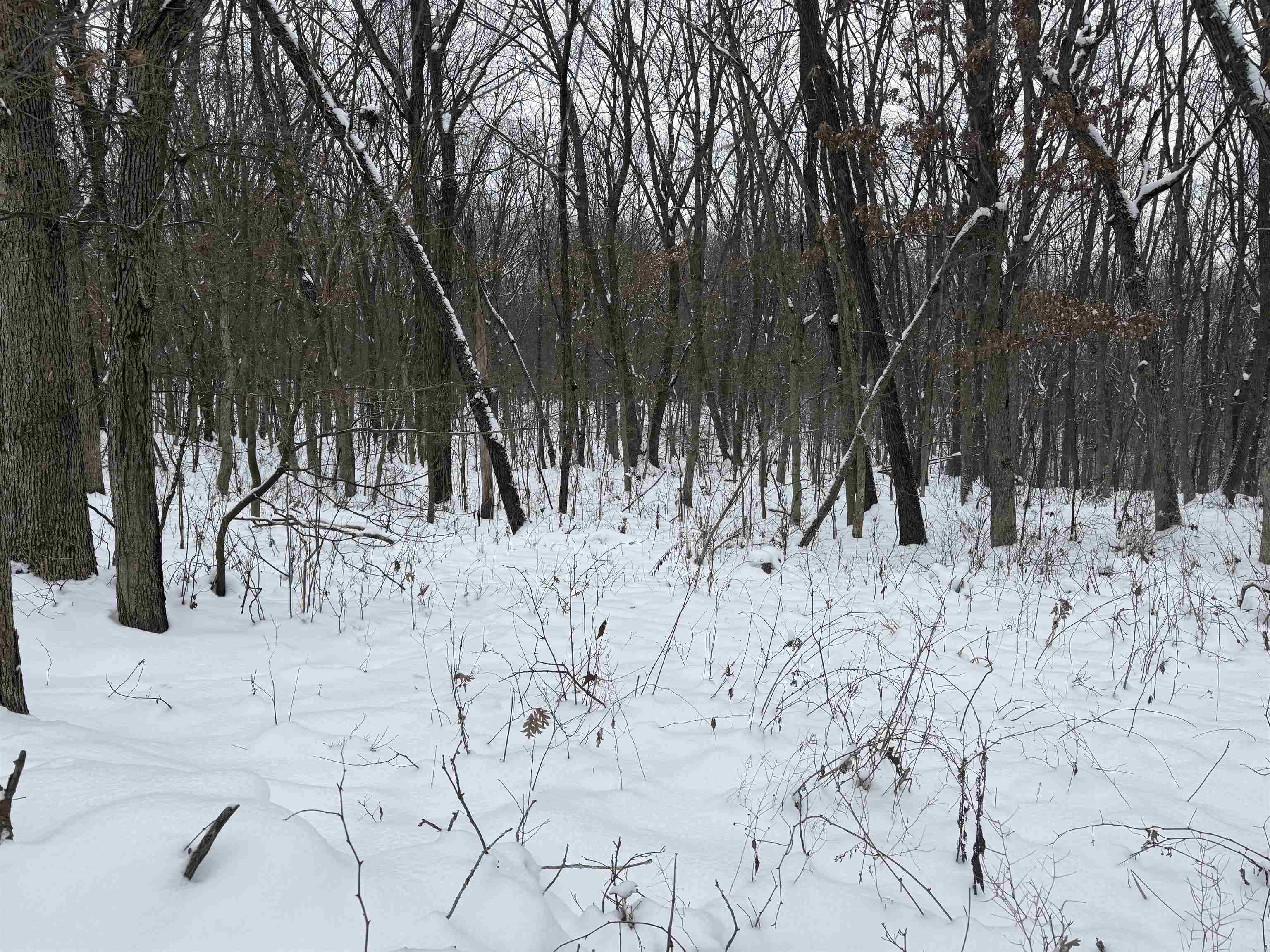 3863 5th Drive Wisconsin Dells, WI 53965 - Photo 34 of 50