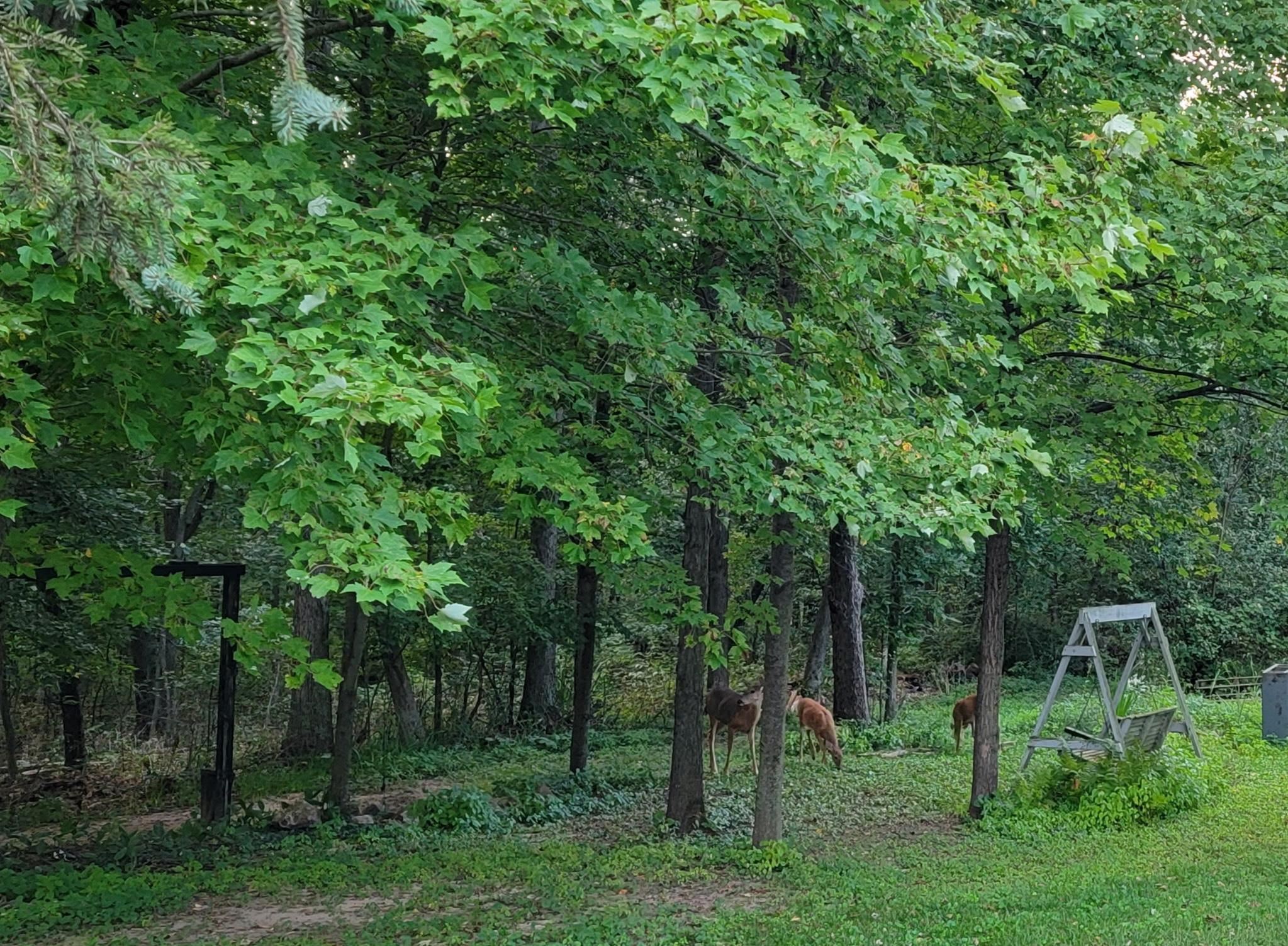 3863 5th Drive Wisconsin Dells, WI 53965 - Photo 48 of 50