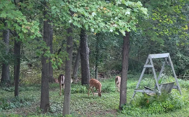 $134,900 | 3863 5th Drive, Wisconsin Dells, WI 53965