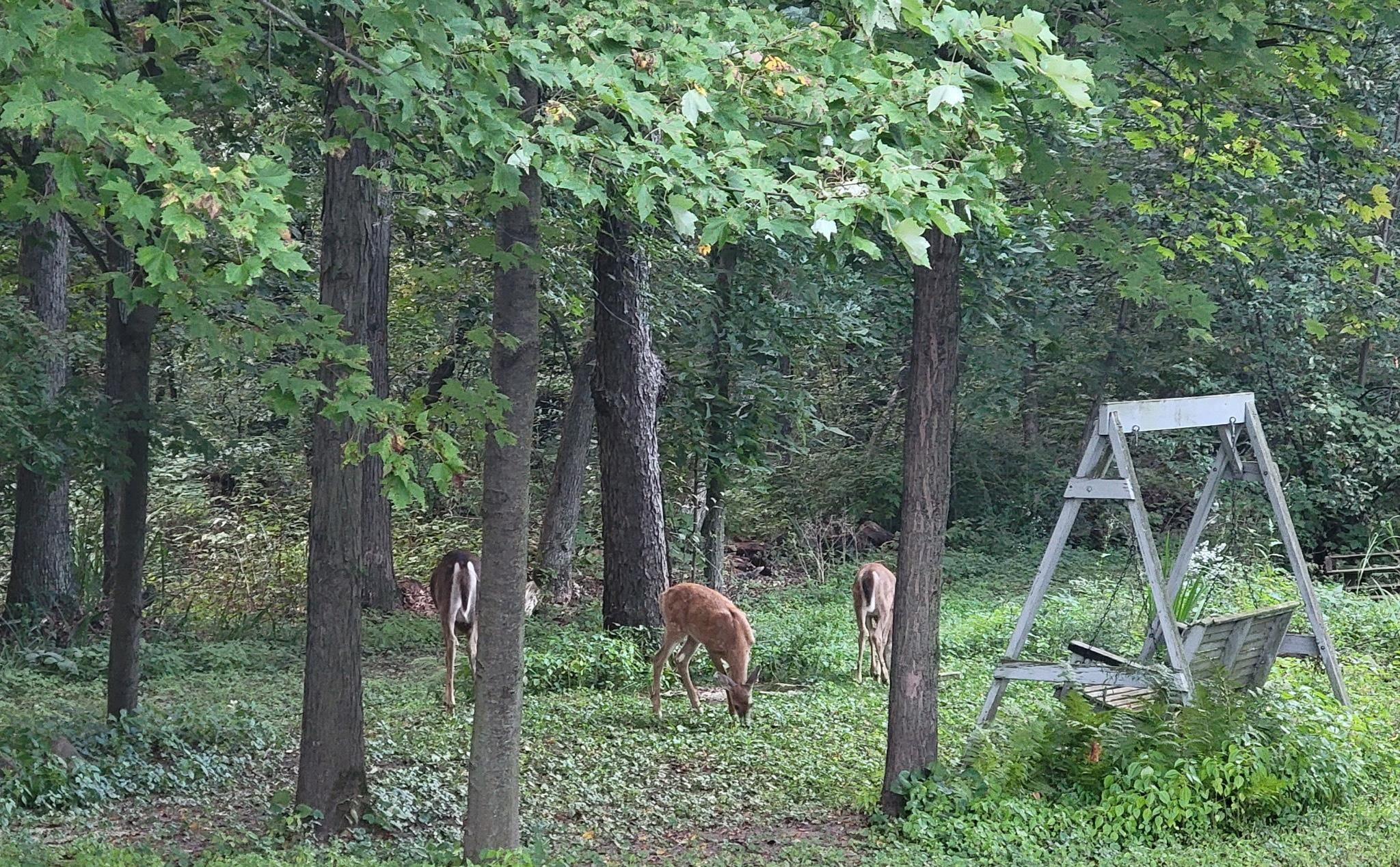 3863 5th Drive Wisconsin Dells, WI 53965 - Photo 49 of 50