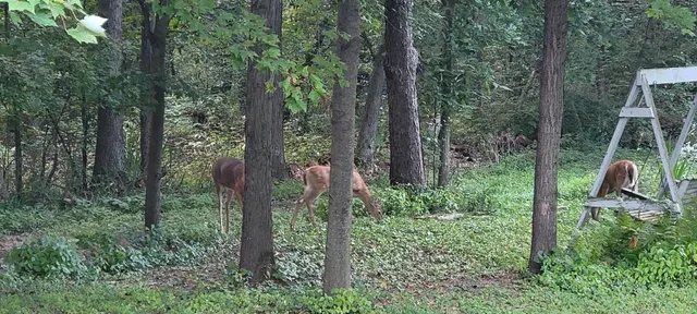 $134,900 | 3863 5th Drive, Wisconsin Dells, WI 53965