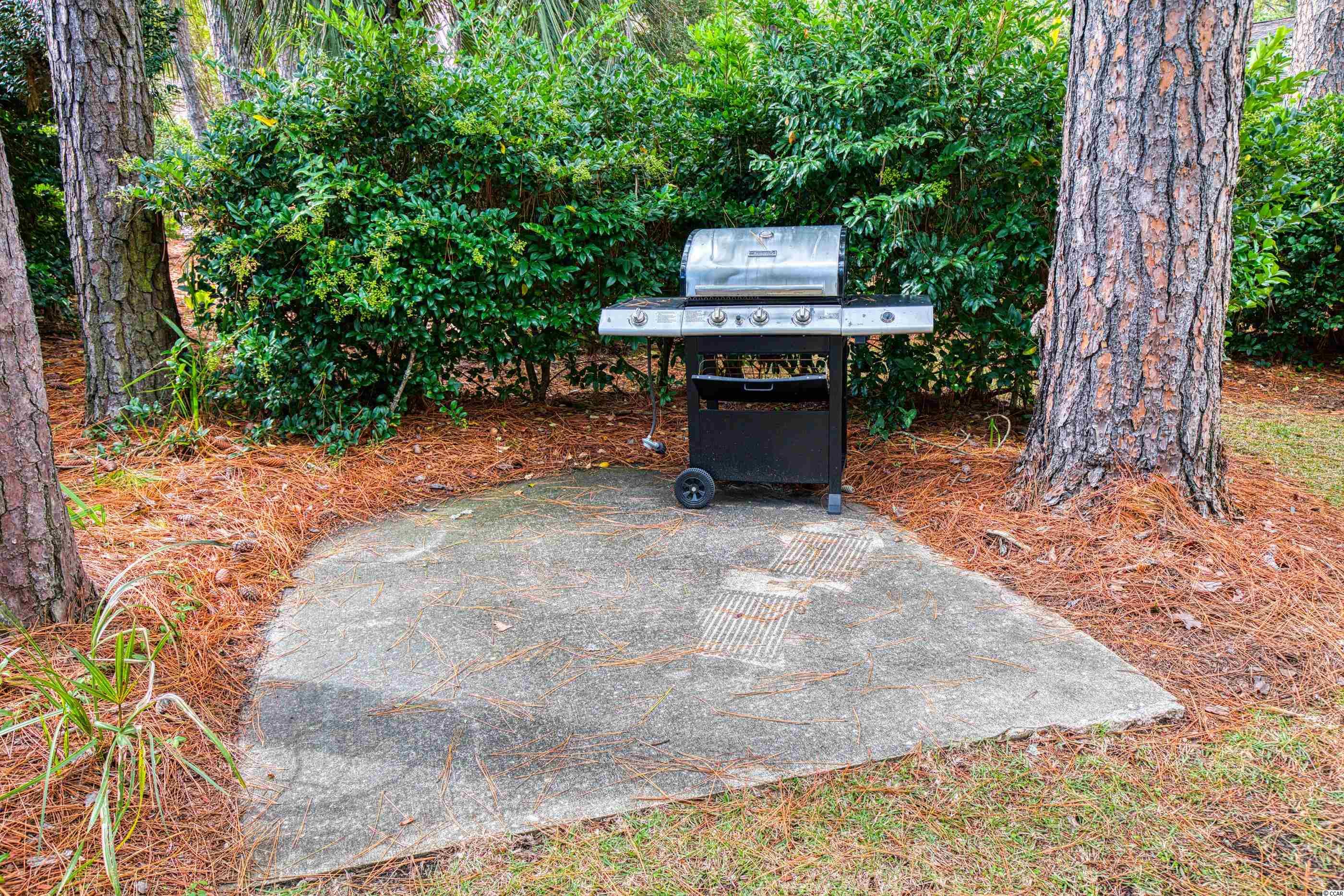 2905 Aiken Road Murrells Inlet, SC 29576 - Photo 21 of 21