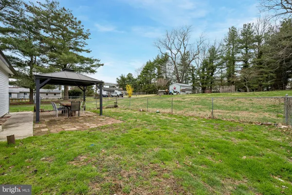 a view of a park with large trees