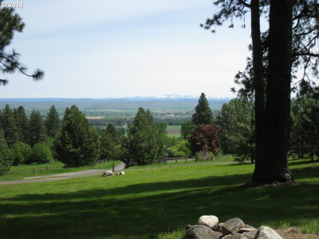 63316 Scotch Creek Road Enterprise, OR 97828 - Photo 4 of 16 Gallery Image 4