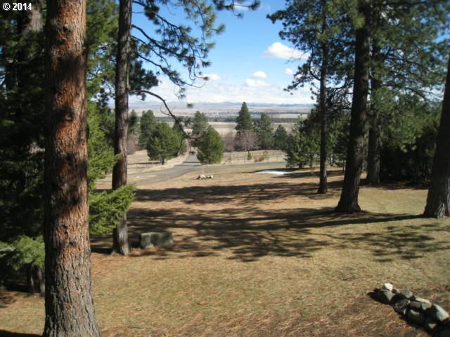 63316 Scotch Creek Road Enterprise, OR 97828 - Photo 5 of 16 Gallery Image 5