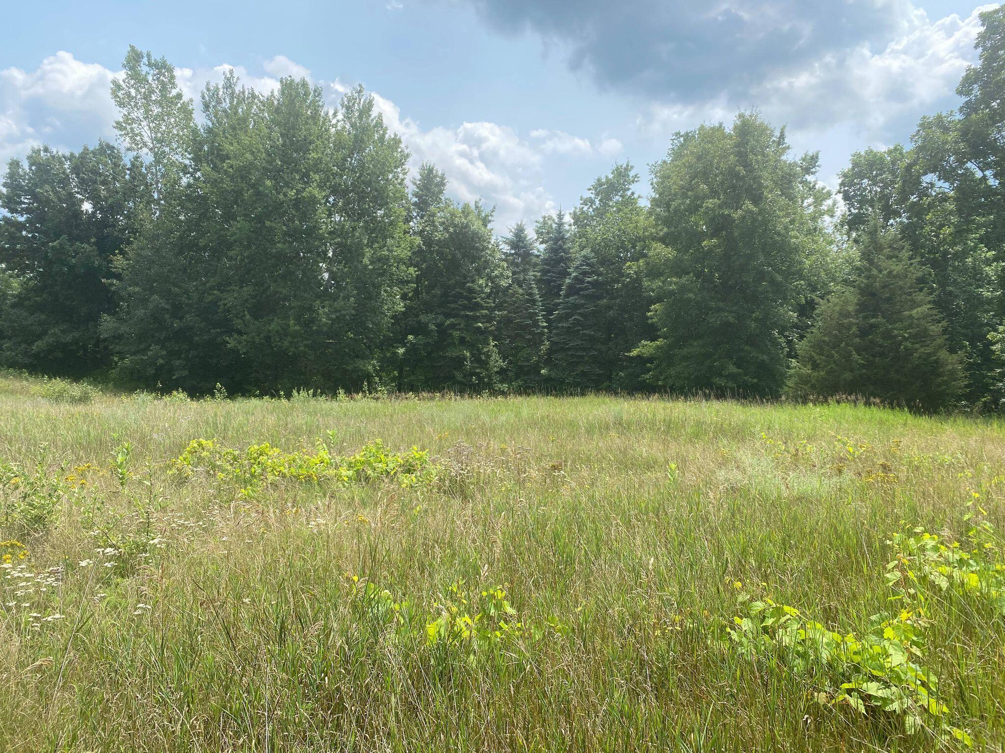 12280 Belding Road Northeast Belding, MI 48809 - Photo 11 of 43 218230370_867146767224934_39842254352134