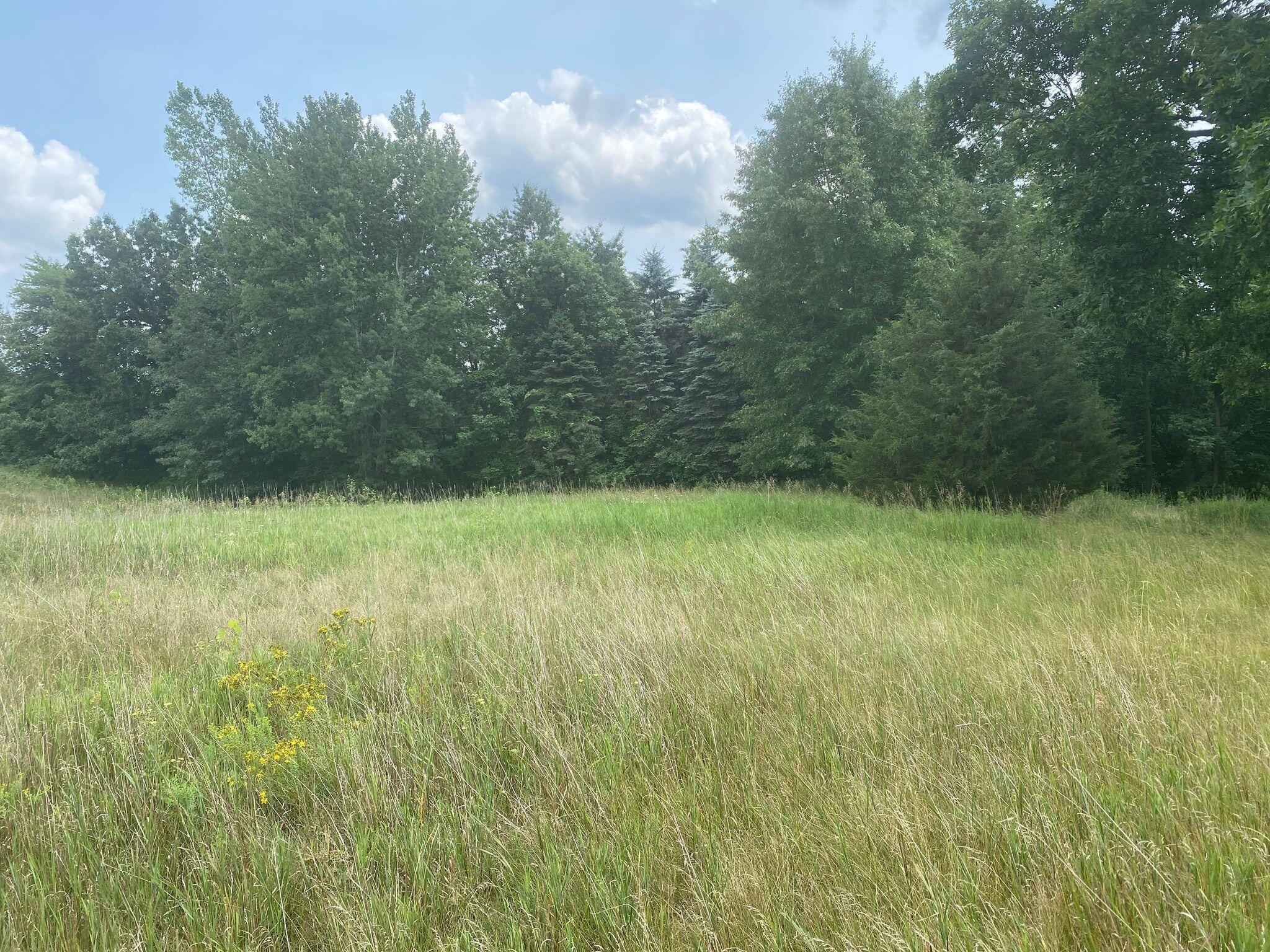 12280 Belding Road Northeast Belding, MI 48809 - Photo 12 of 43 218346153_527502248693653_57606030910918