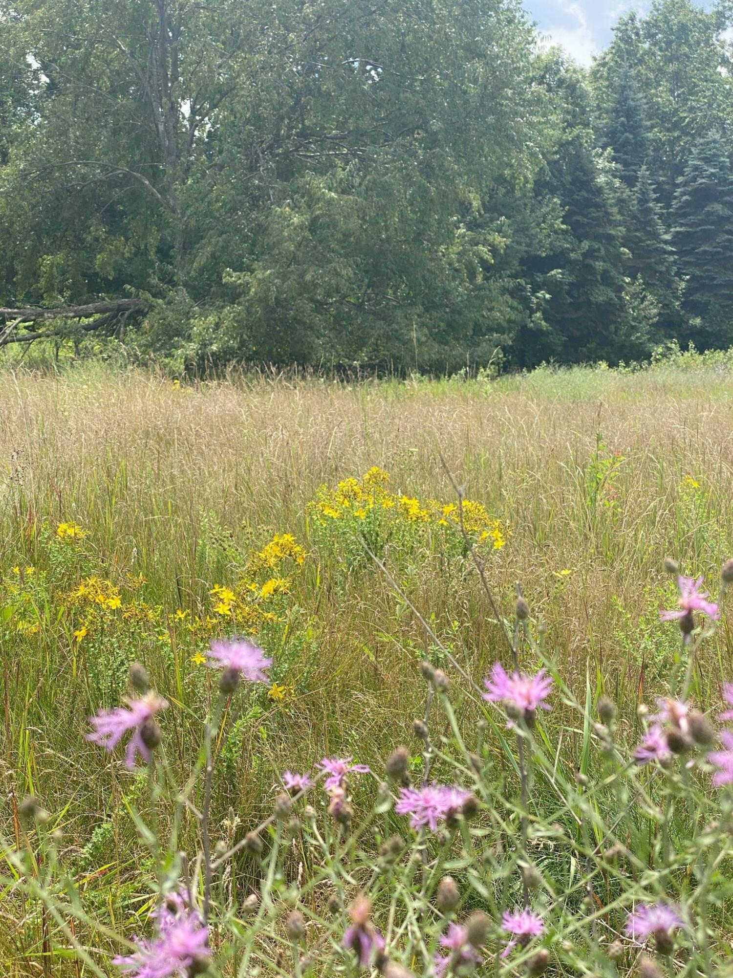 12280 Belding Road Northeast Belding, MI 48809 - Photo 15 of 43 218375668_543938446760692_22624885159027