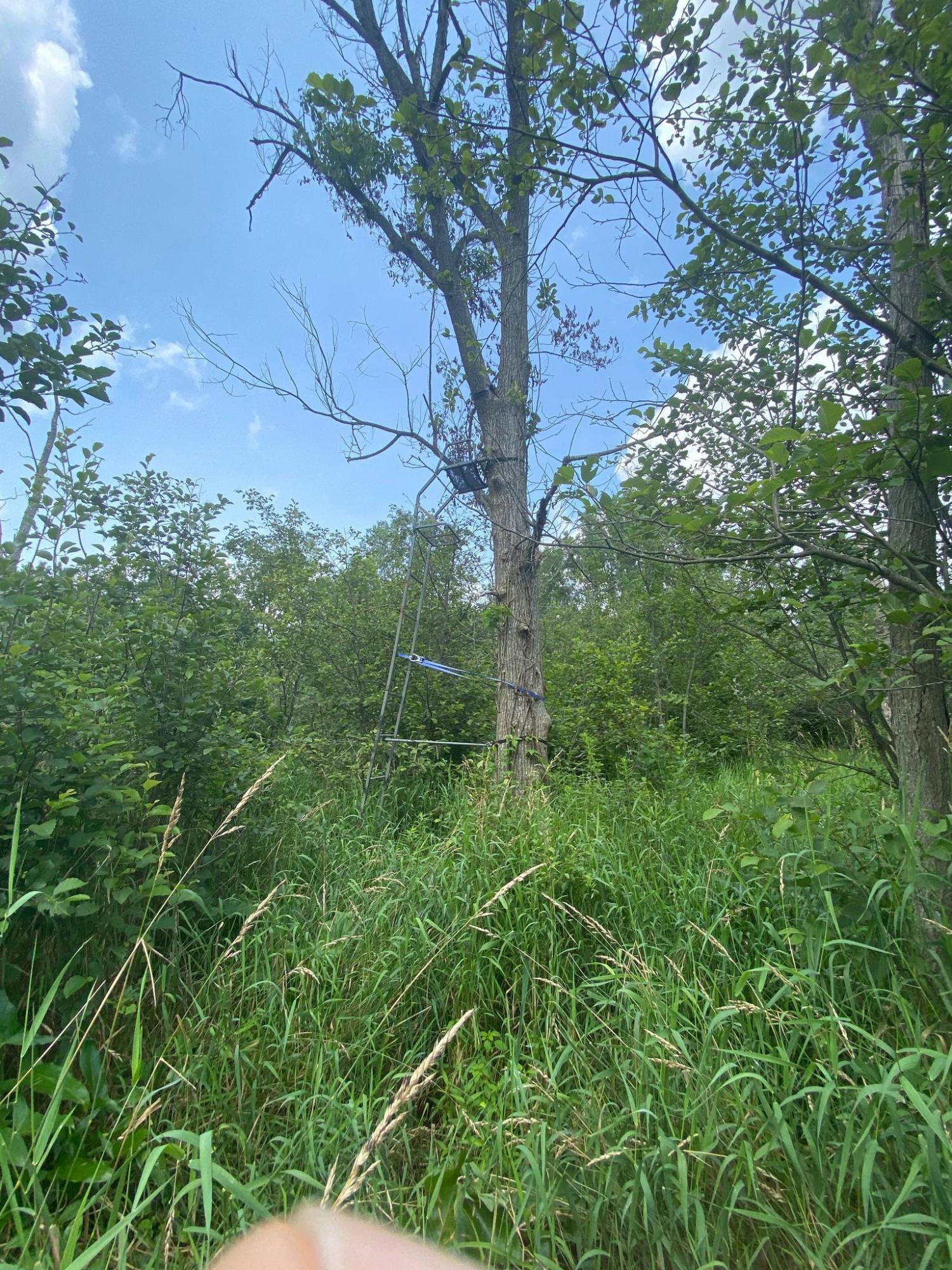 12280 Belding Road Northeast Belding, MI 48809 - Photo 6 of 43 217779290_2950888218512459_3311235979909