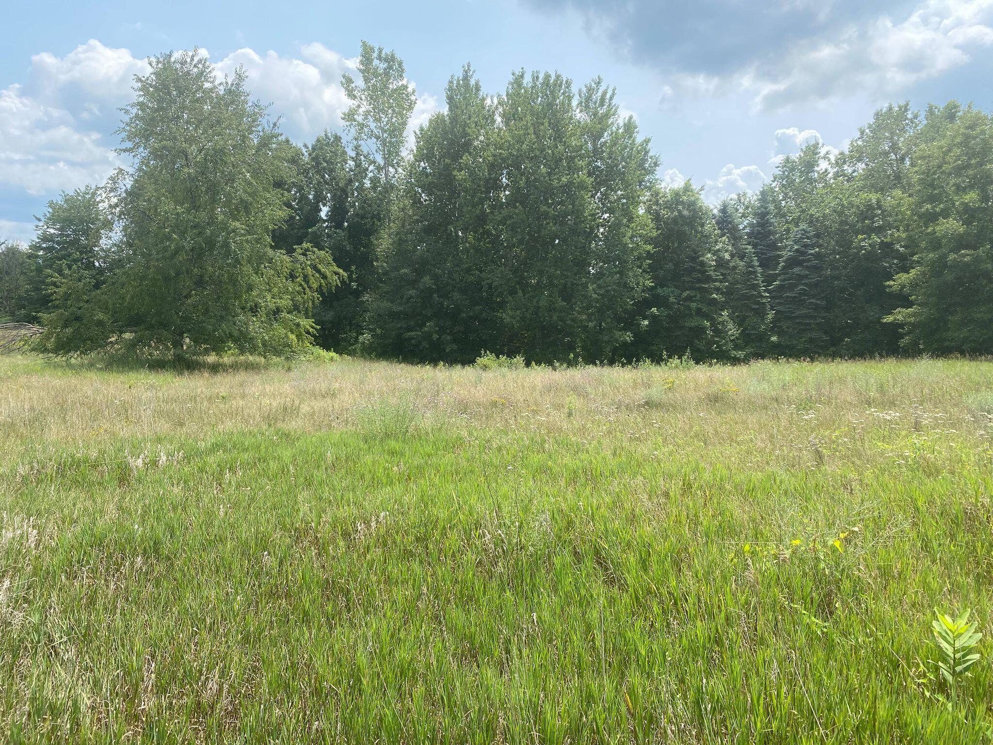 12280 Belding Road Northeast Belding, MI 48809 - Photo 10 of 43 218307643_245913377086168_63401655973496
