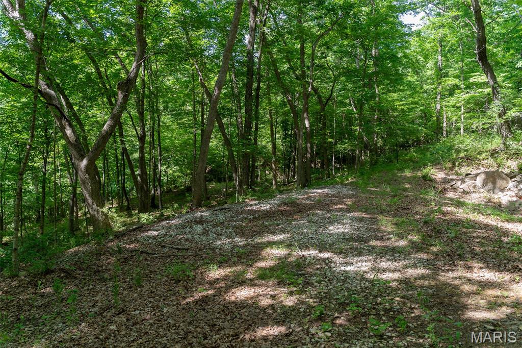 0 High Street Pacific, MO 63069 - Photo 17 of 25