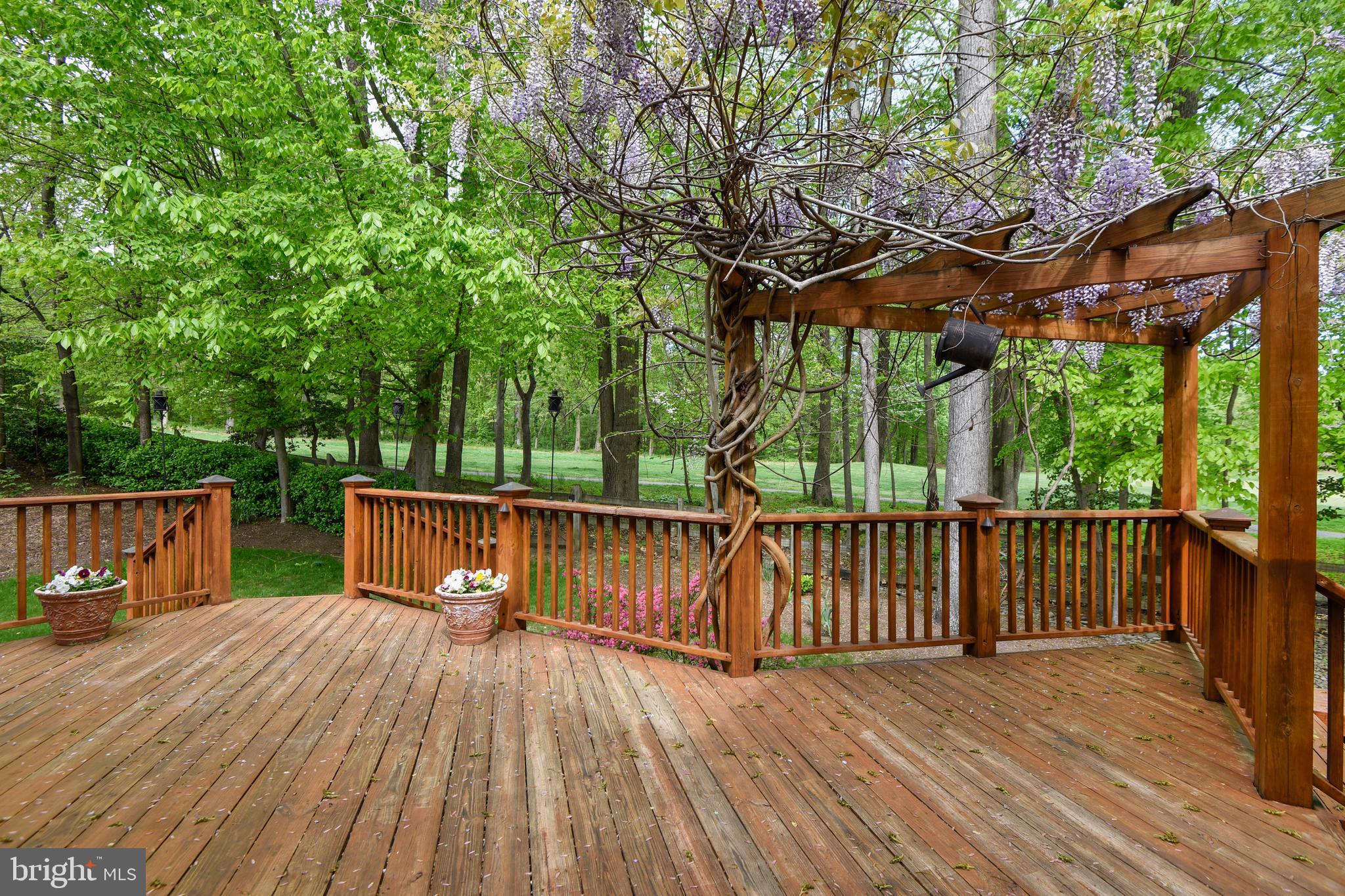 2 Strachan Place Edgewater, MD 21037 - Photo 11 of 74 Gallery Image 11