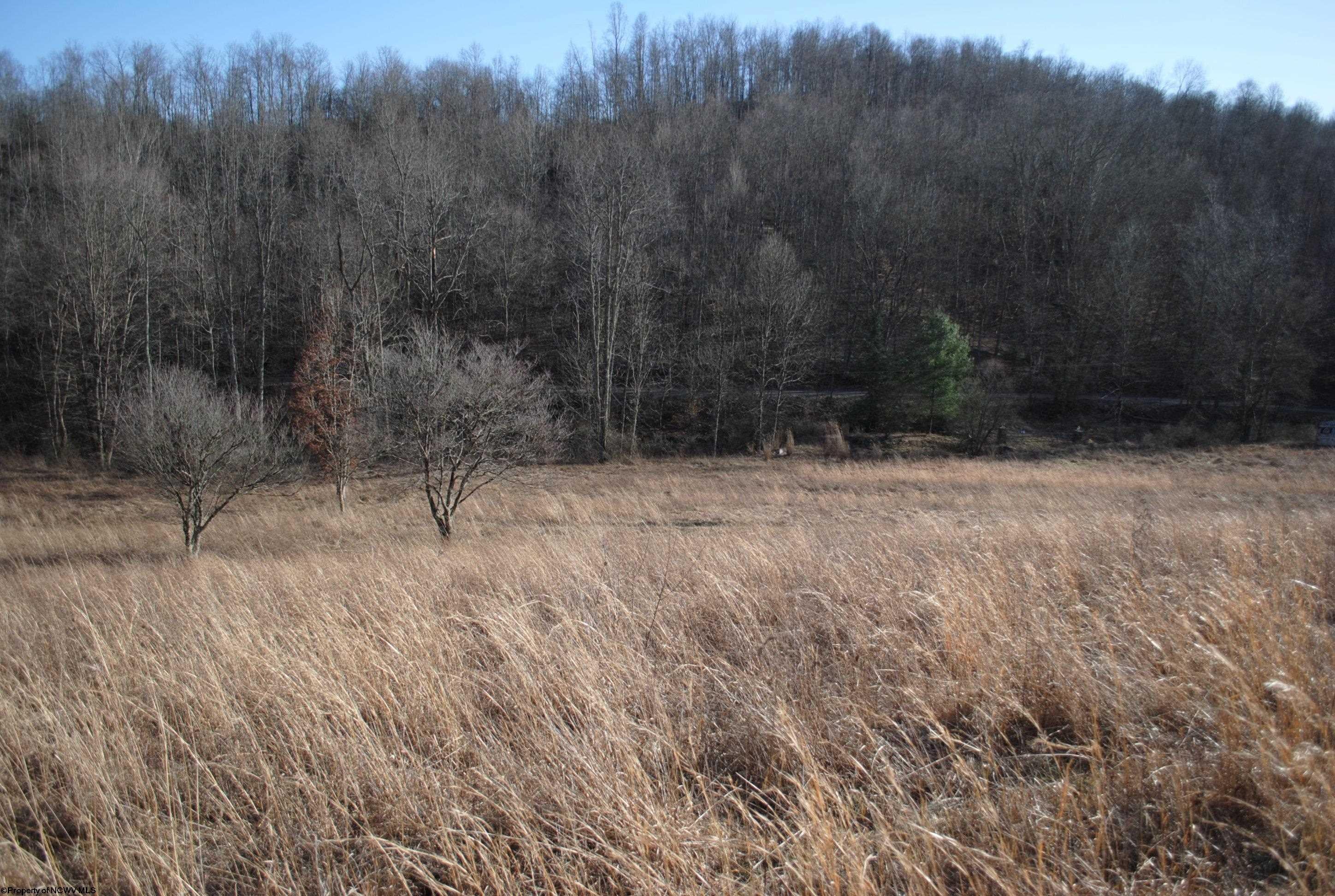 2201 Wash Run Road Philippi, WV 26416 - Photo 19 of 22 Gallery Image 19