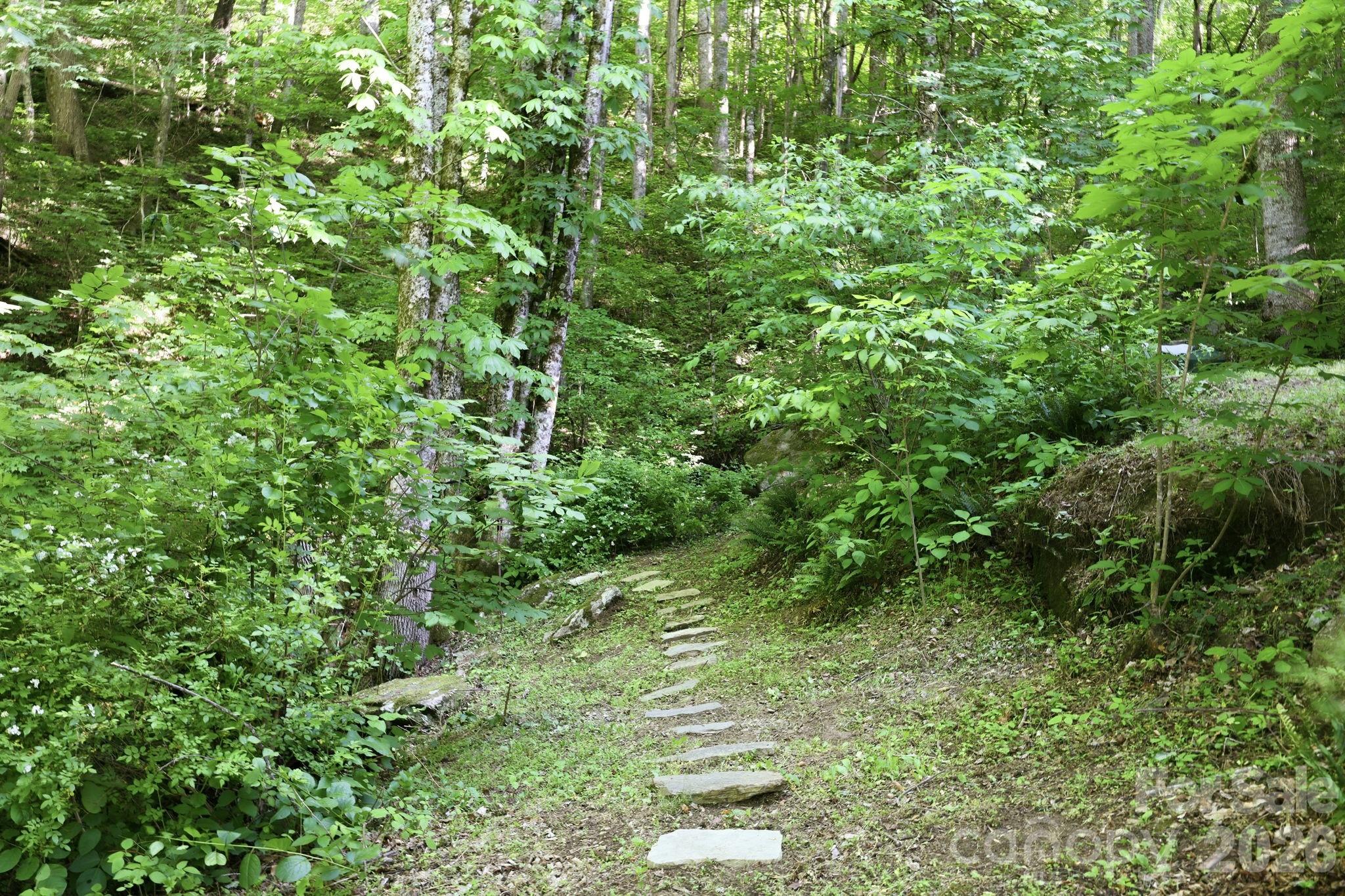 98 Sparkling Springs Road Fairview, NC 28730 - Photo 39 of 48
