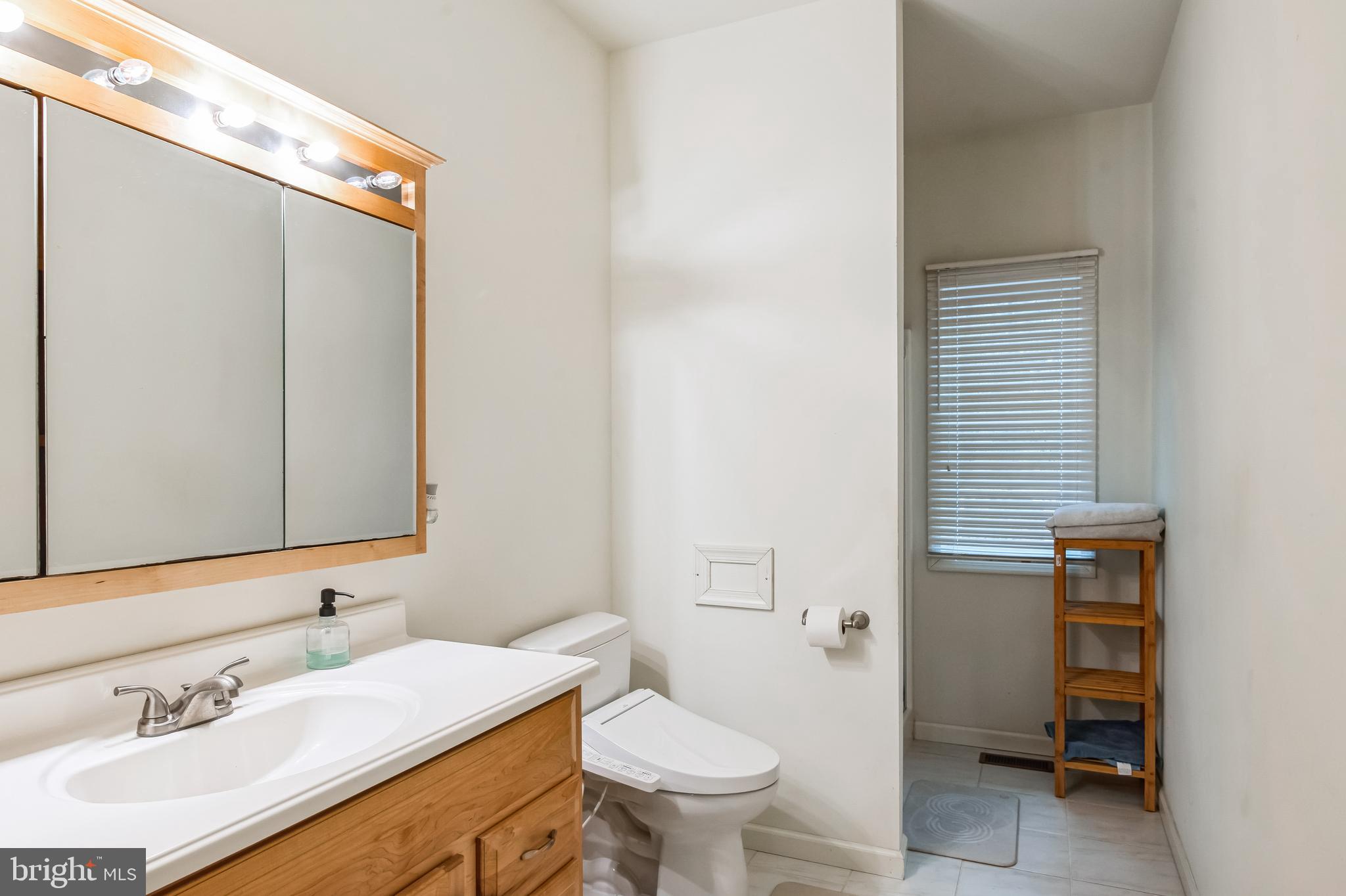 8419 Ingleton Road Easton, MD 21601 - Photo 28 of 58 a bathroom with a sink a toilet and mirror