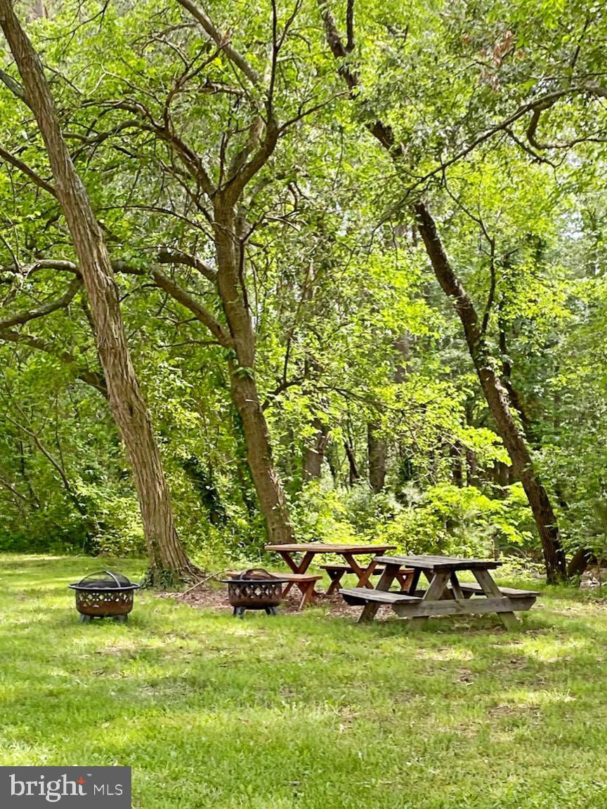 8419 Ingleton Road Easton, MD 21601 - Photo 56 of 58 a view of a field with large trees