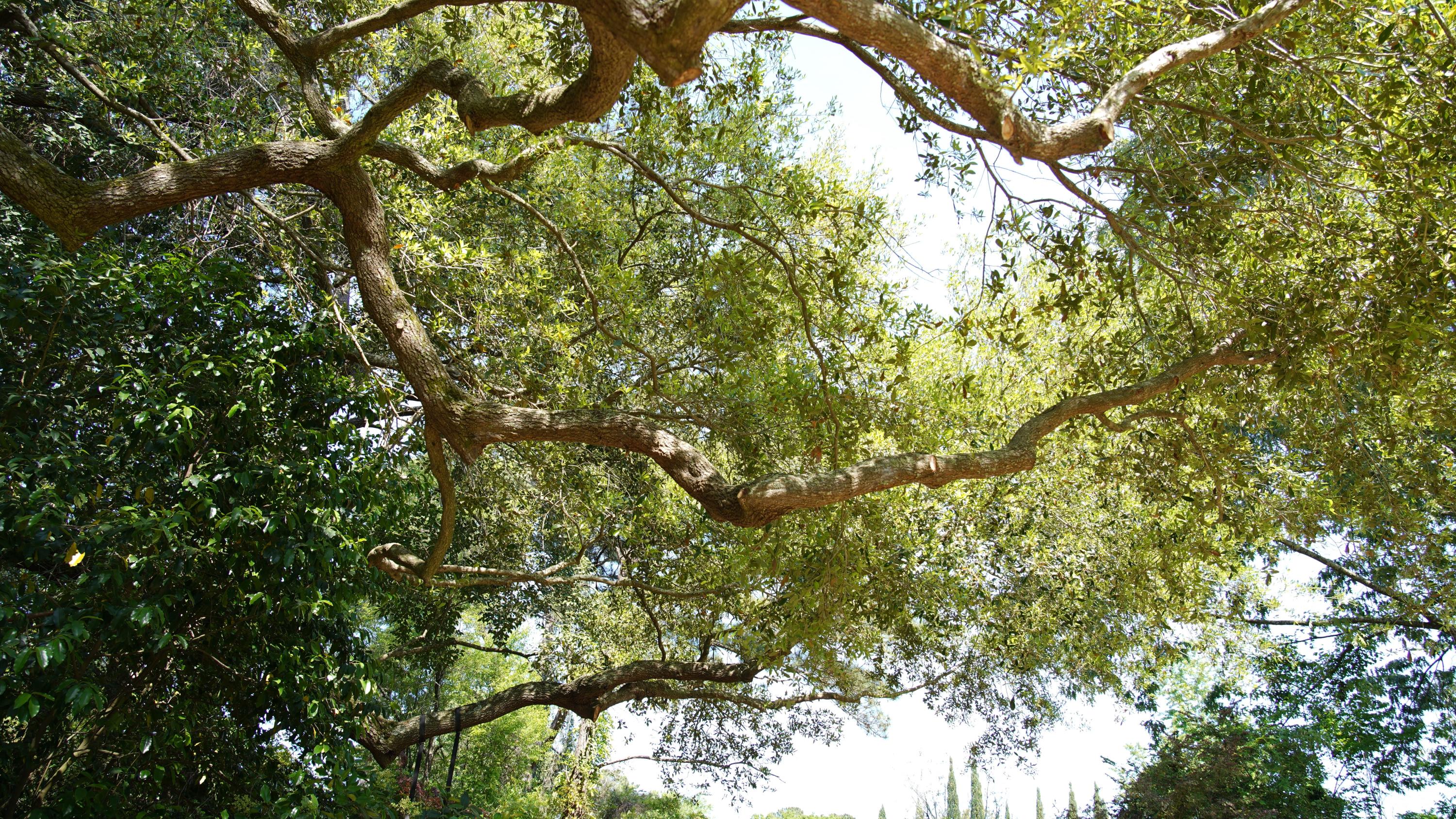 1834 Christian Road Charleston, SC 29407 - Photo 33 of 33 DSC00018