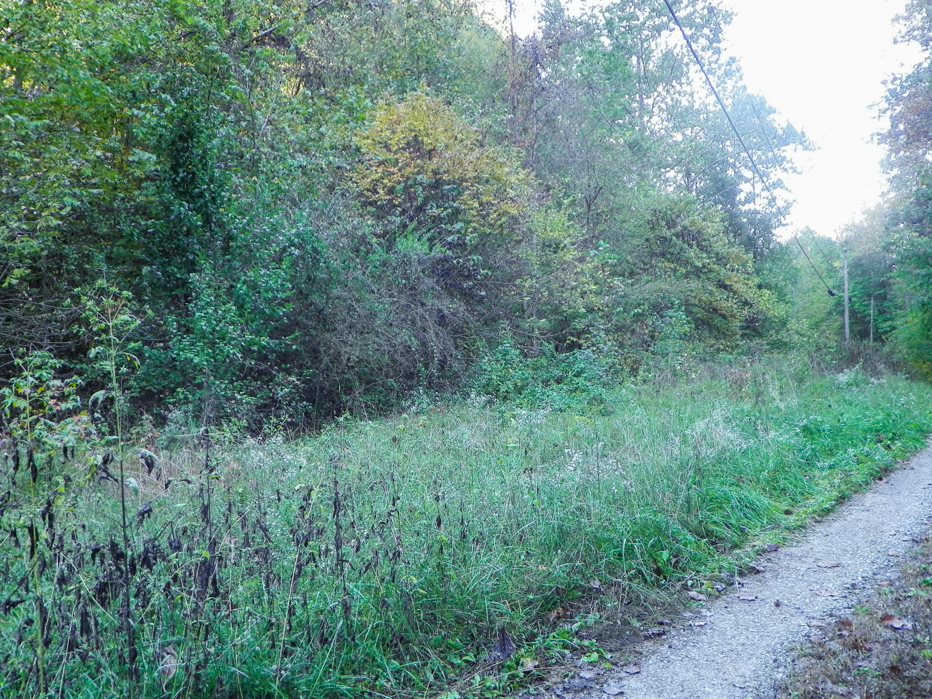 Windswept View Way Sevierville, TN 37862 - Photo 14 of 15 WindsweptViewWay (6 of 9)