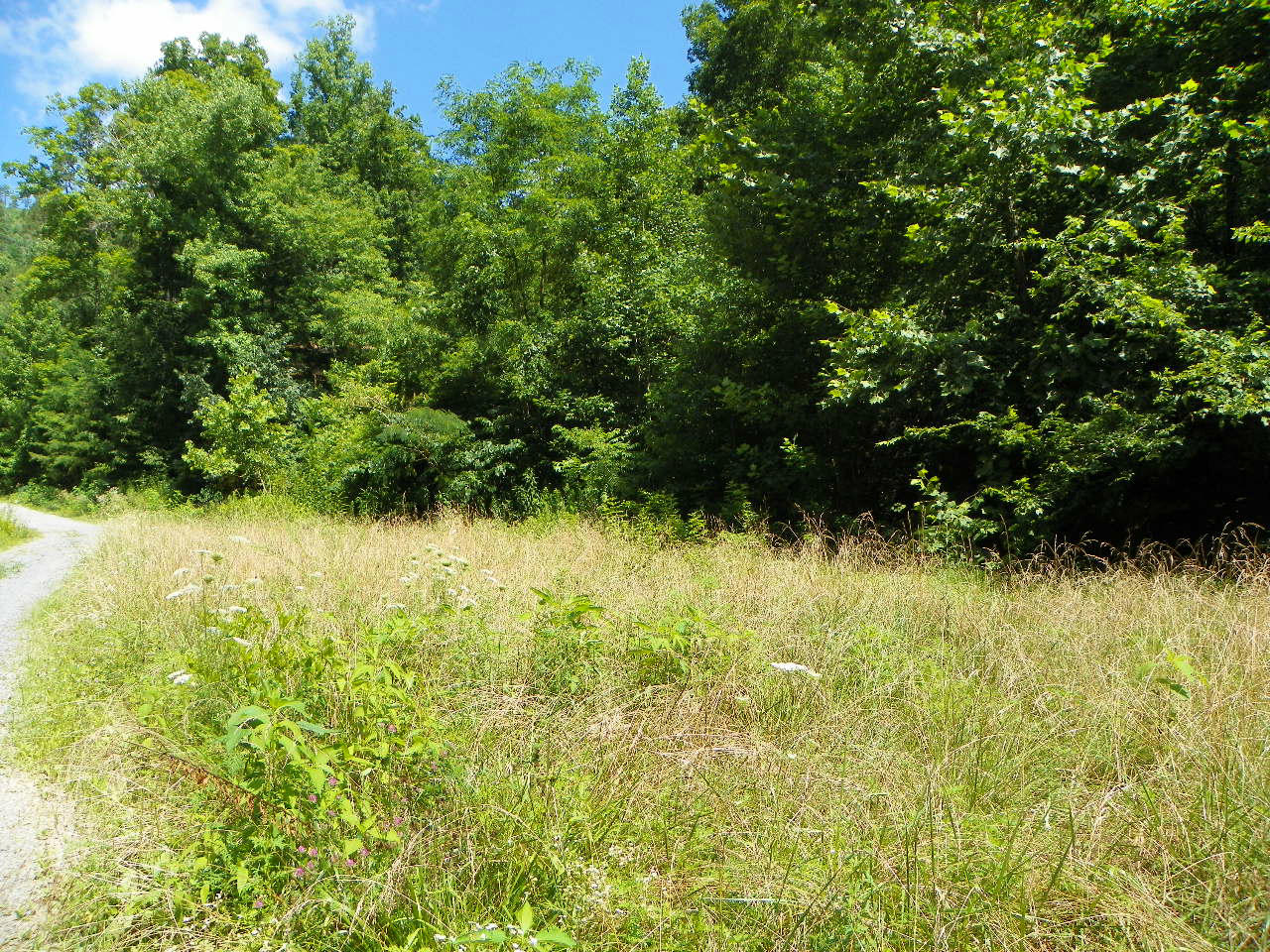 Windswept View Way Sevierville, TN 37862 - Photo 3 of 15 101_0061