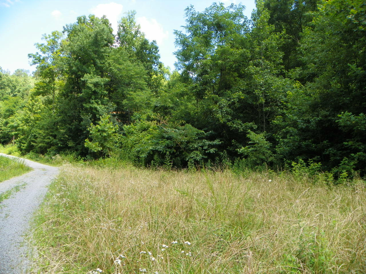 Windswept View Way Sevierville, TN 37862 - Photo 4 of 15 101_0056