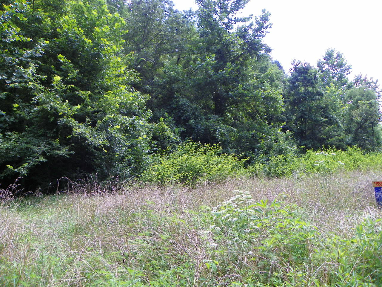 Windswept View Way Sevierville, TN 37862 - Photo 5 of 15 101_0057