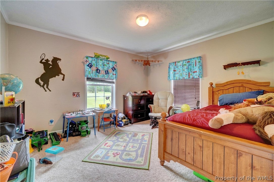 15023 Appleton Road Ivor, VA 23866 - Photo 24 of 39 Gallery Image 24