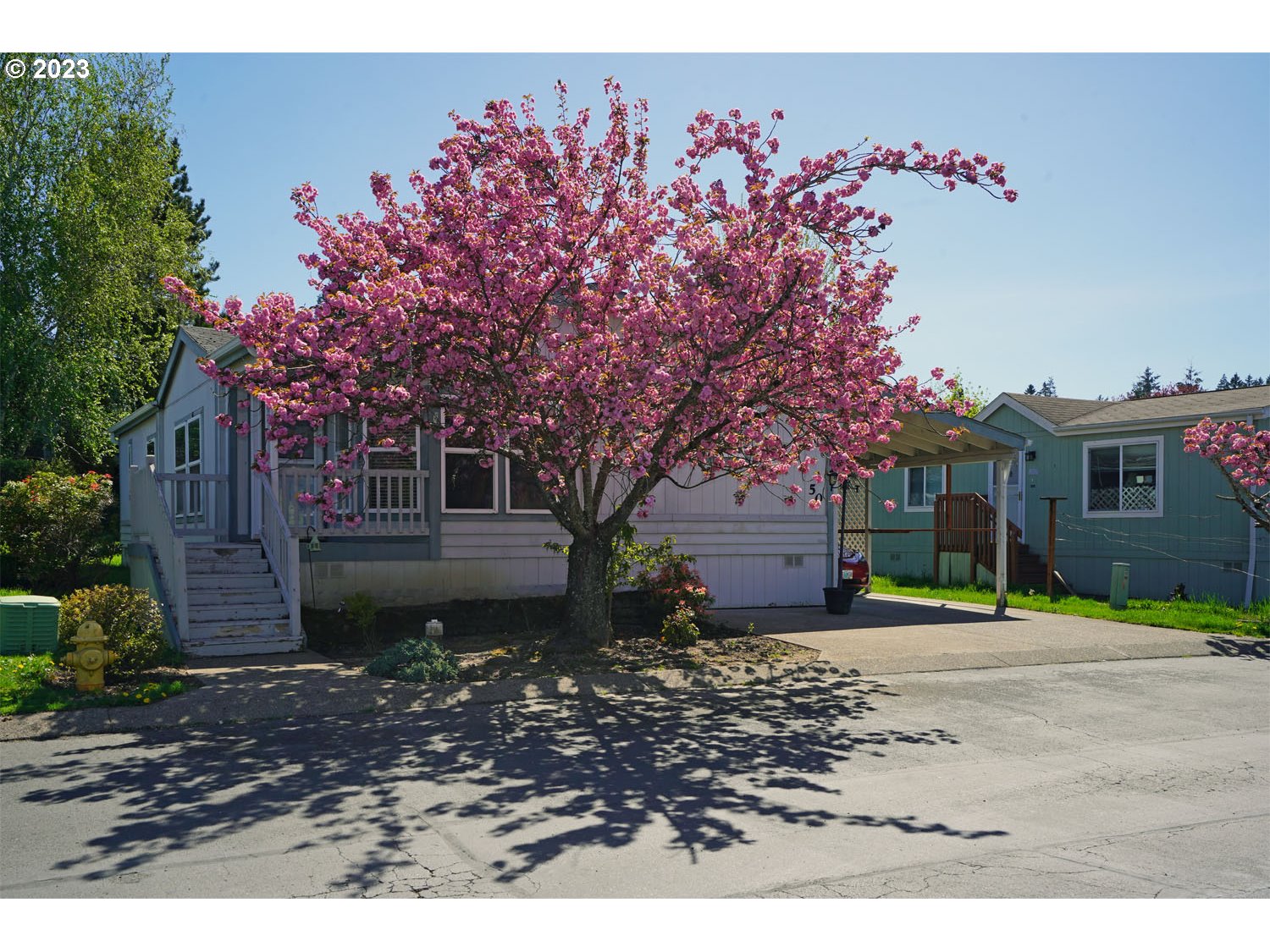 23077 Southwest Main Street, Unit 50 Sherwood, OR 97140 - Photo 1 of 24 a front view of a house with a tree