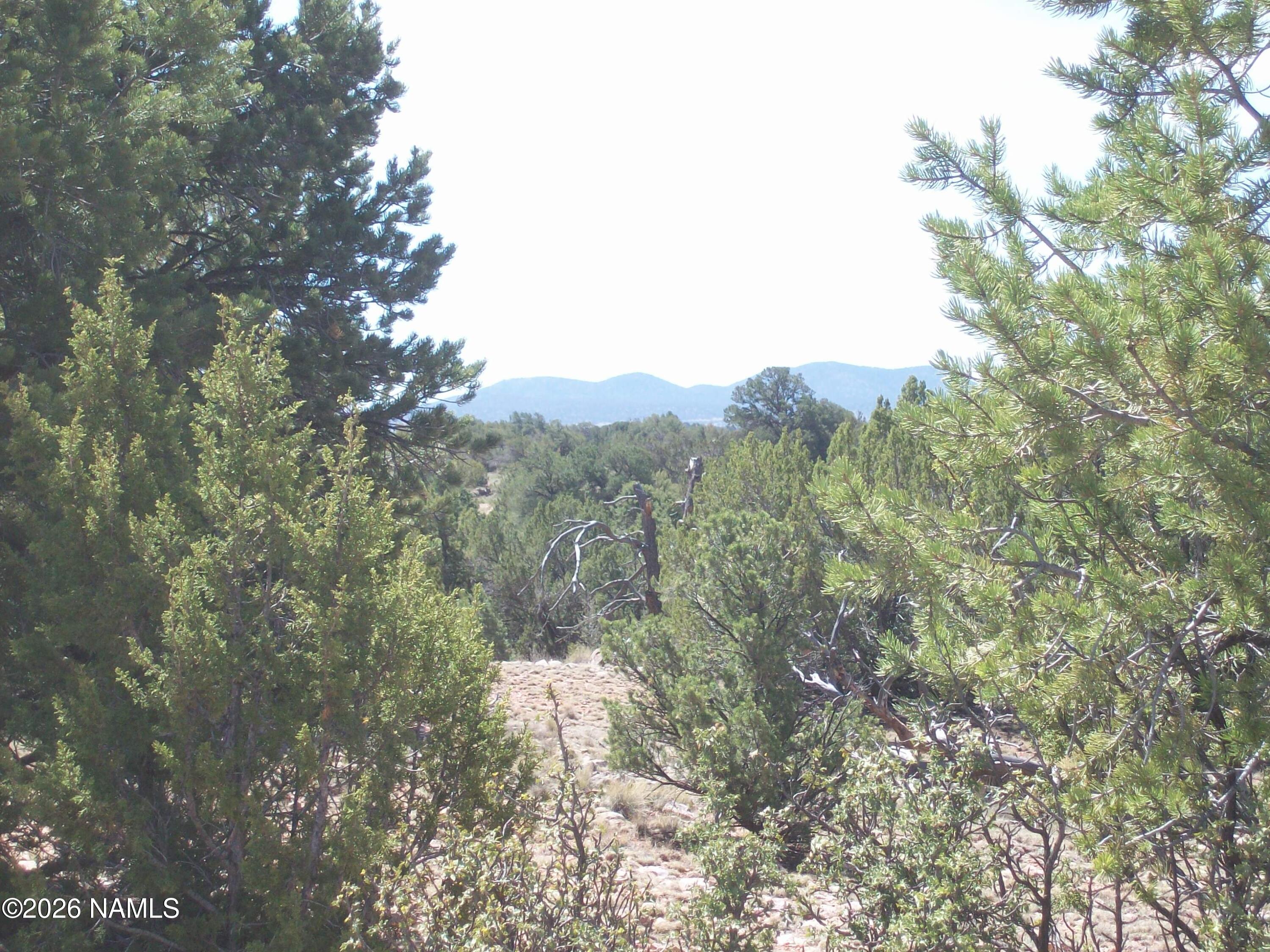 1650 South Kaibab Road Williams, AZ 86046 - Photo 9 of 12 100_0403