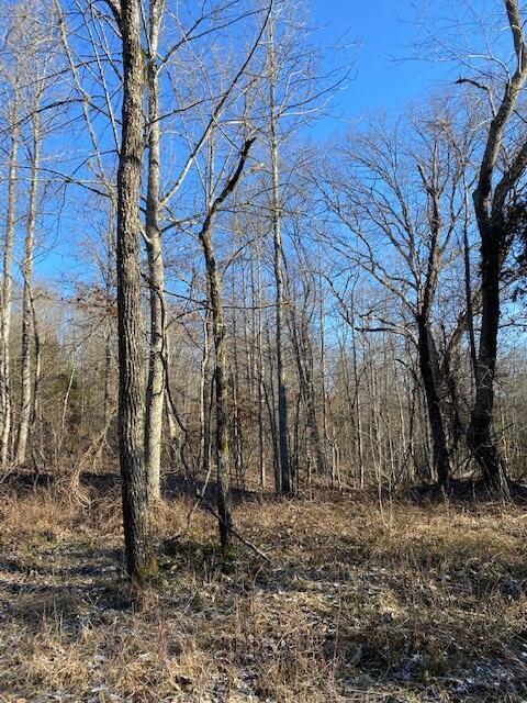 142 Cole Road Deer Lodge, TN 37726 - Photo 68 of 77 20220322195801104915000000-o