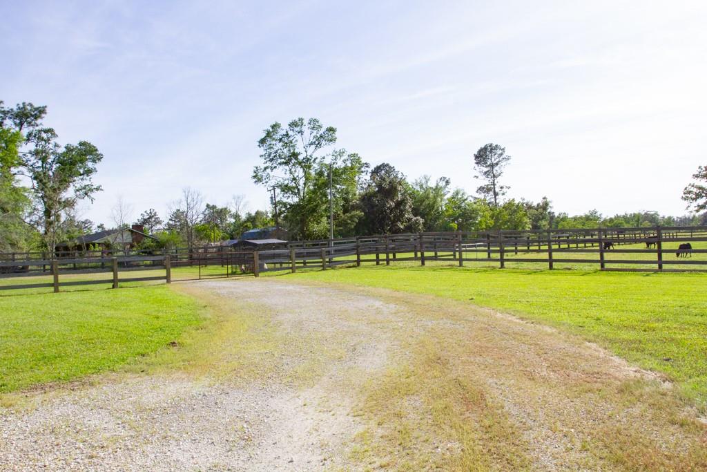 192 Buddy Cooper Road Singer, LA 70660 - Photo 7 of 30 Gallery Image 7