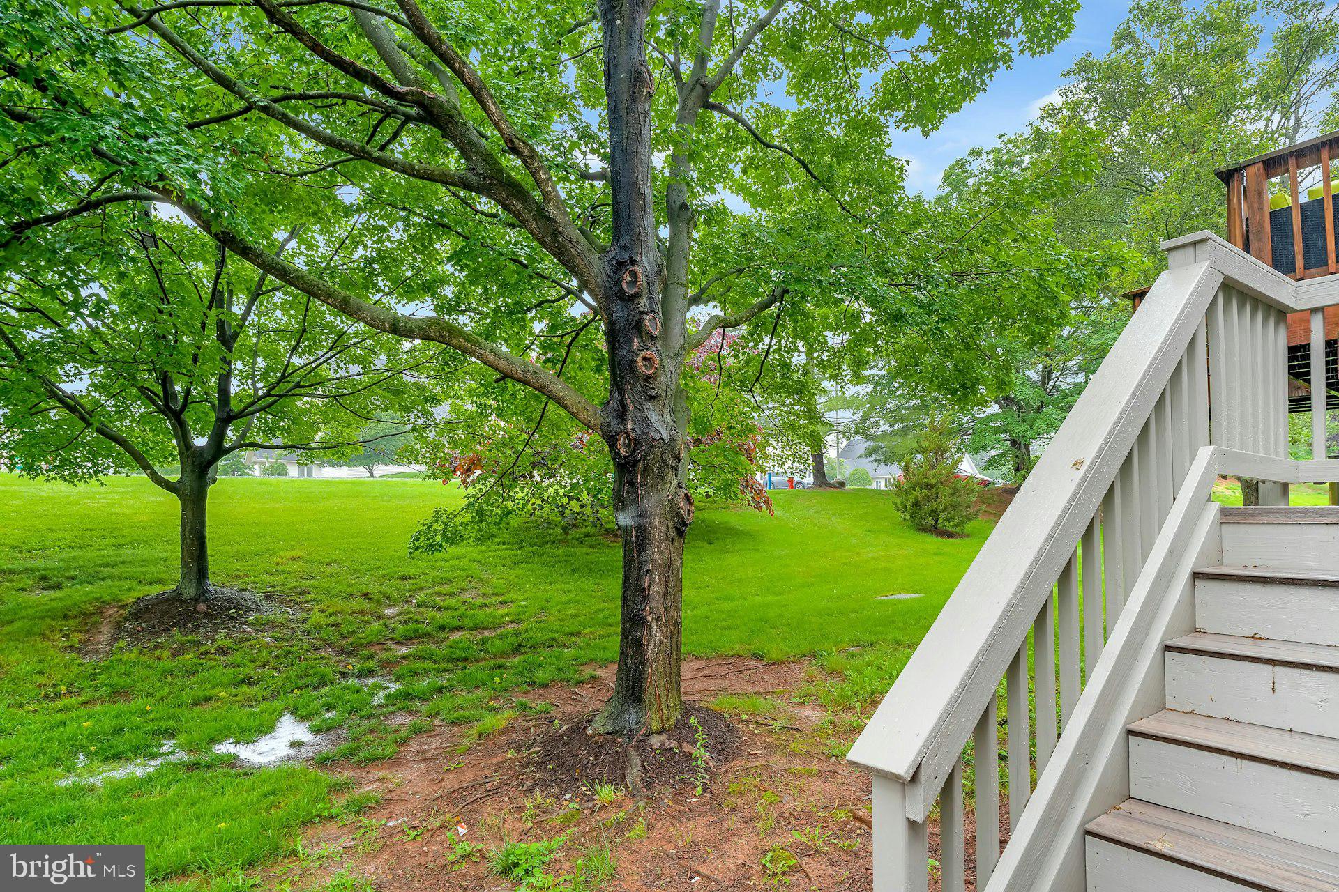 43602 Blacksmith Square Ashburn, VA 20147 - Photo 30 of 33 a view of yard with green space and wooden deck