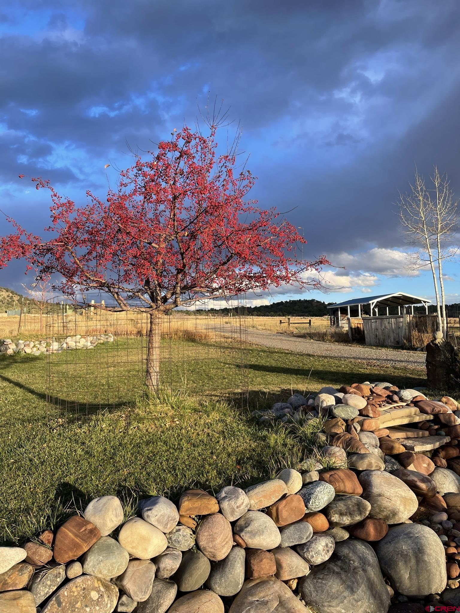 205 Toad Road Durango, CO 81301 - Photo 15 of 40