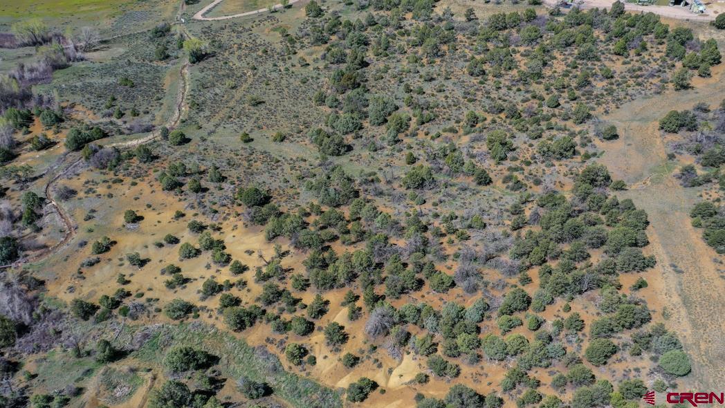 205 Toad Road Durango, CO 81301 - Photo 36 of 40