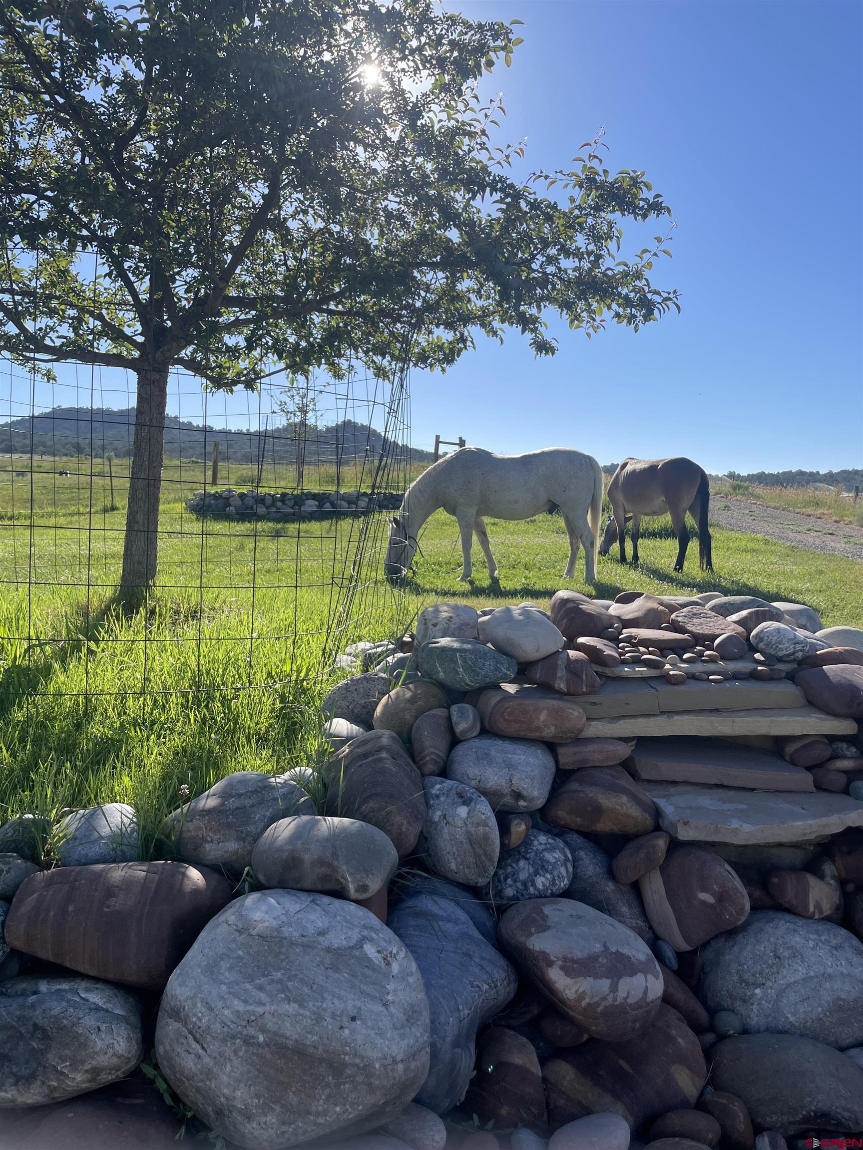 205 Toad Road Durango, CO 81301 - Photo 39 of 40