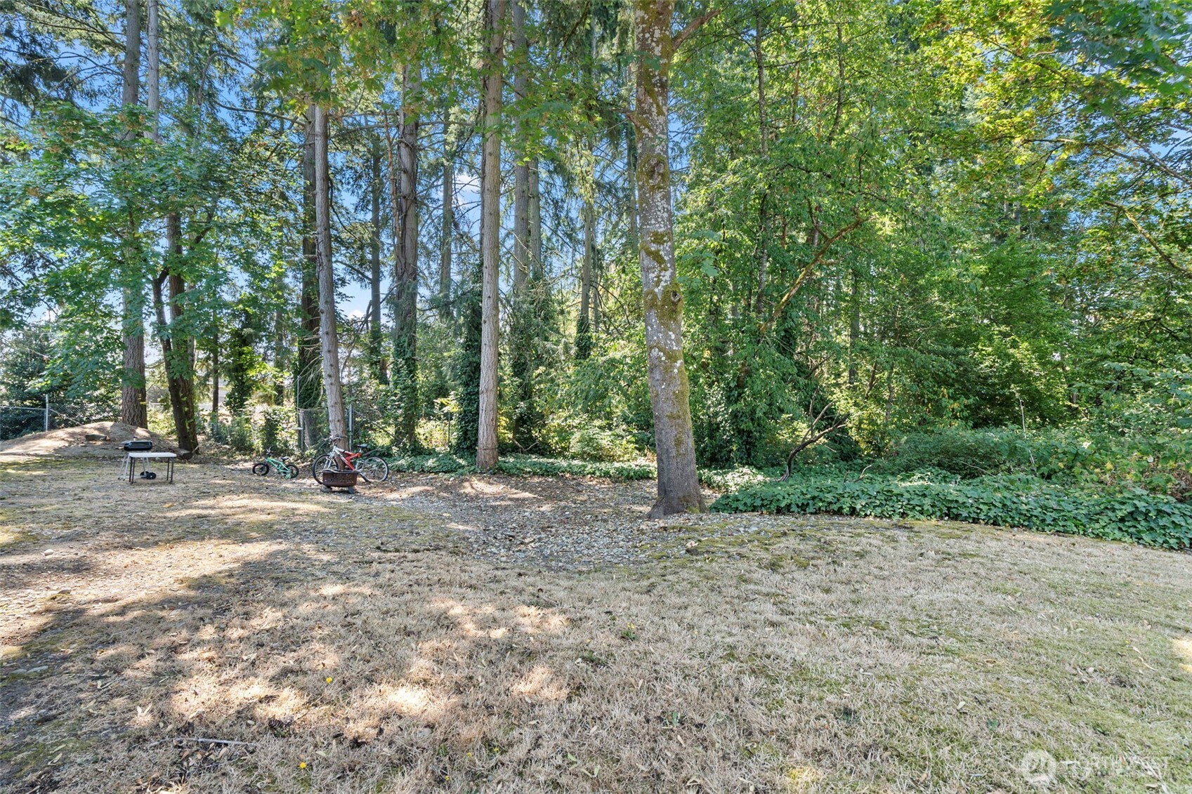 8502-8508 Berkeley Avenue Southwest Lakewood, WA 98498 - Photo 16 of 19 a view of a forest with trees in the background
