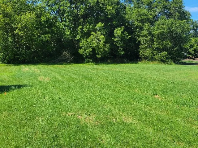 $10,000 | Tbd Cedar Street, Easton, MN 56025