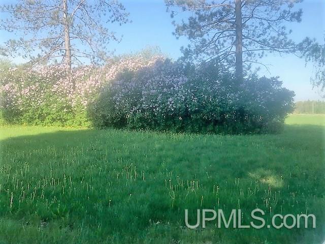 3227 St Nicholas 31st Road Rock, MI 49880 - Photo 20 of 26
