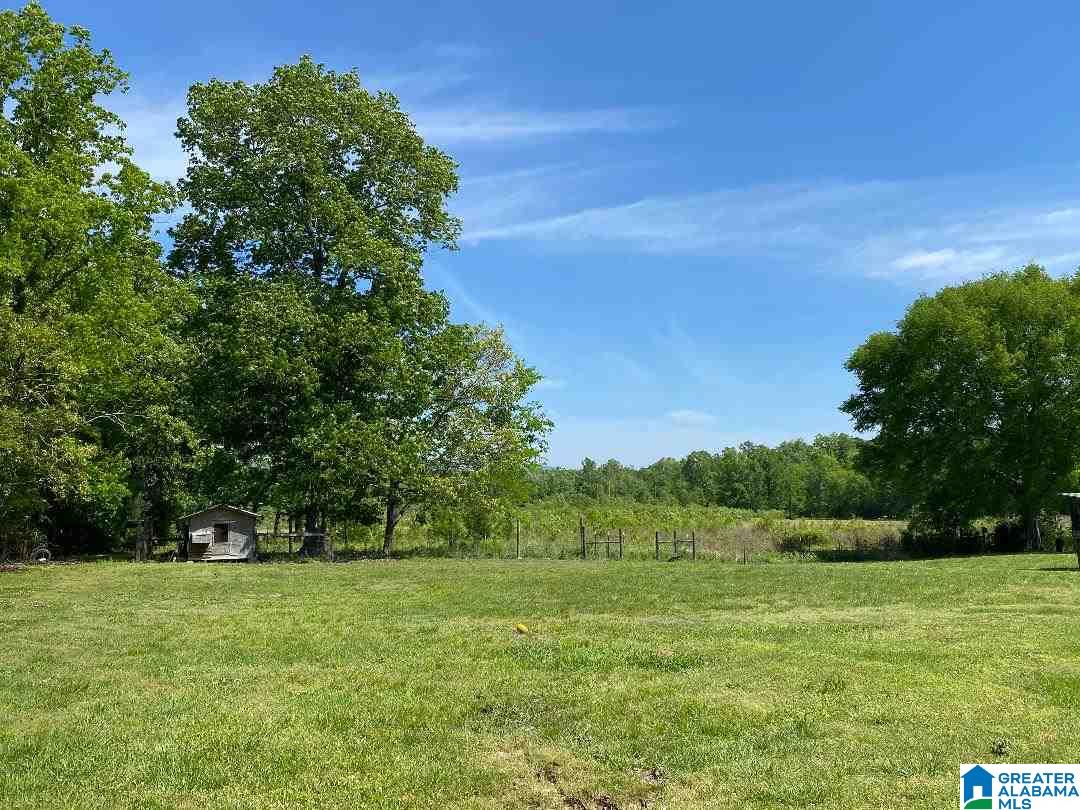 1730 Pine Dale Road Ashville, AL 35953 - Photo 21 of 23