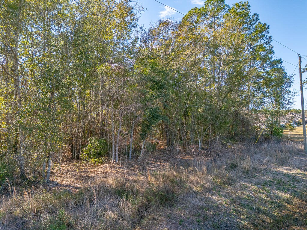 425 Emanuel Church Road Brunswick, GA 31523 - Photo 12 of 13