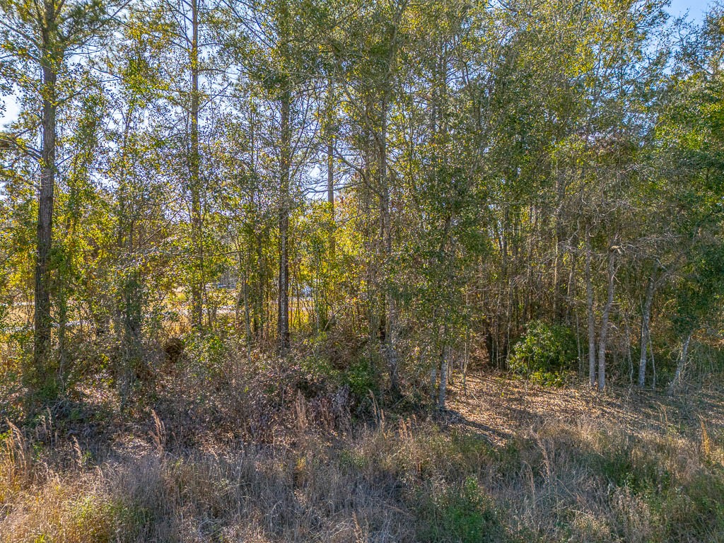 425 Emanuel Church Road Brunswick, GA 31523 - Photo 13 of 13