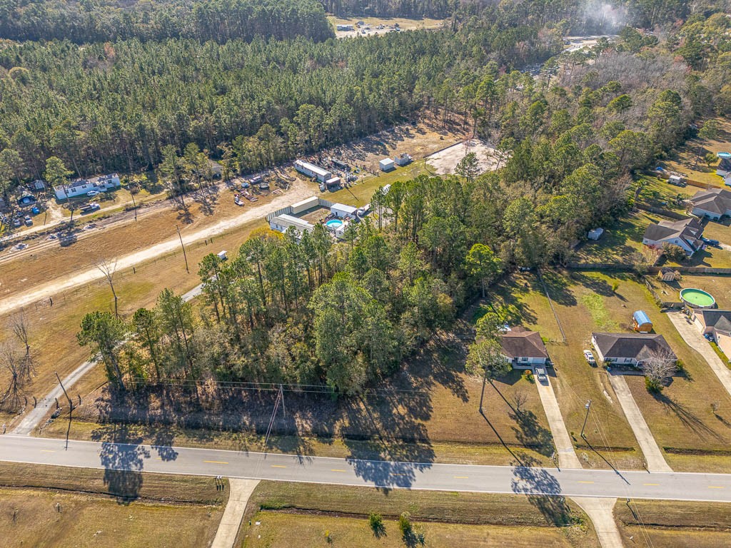 425 Emanuel Church Road Brunswick, GA 31523 - Photo 3 of 13