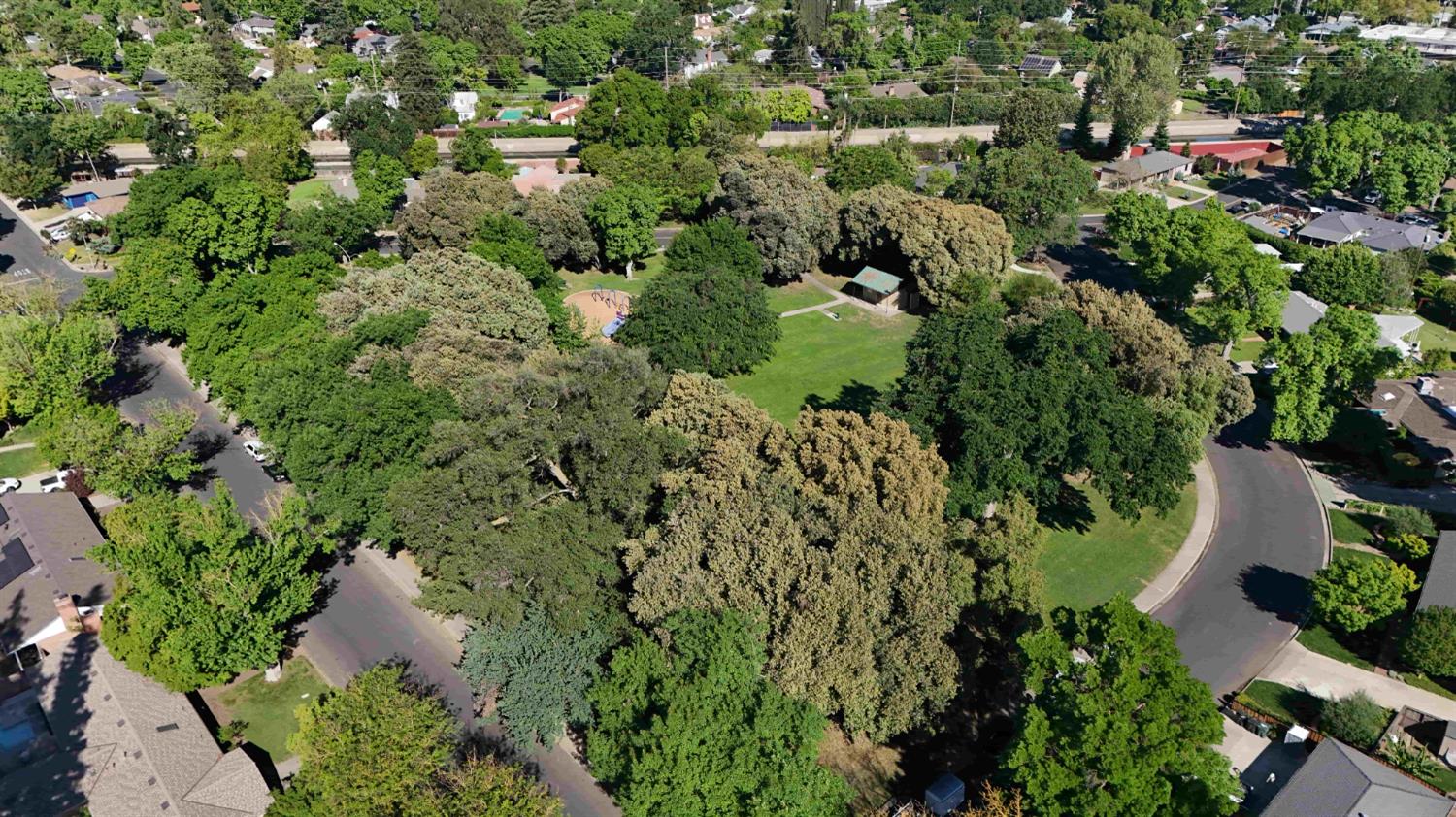 821 High Street Modesto, CA 95354 - Photo 37 of 38