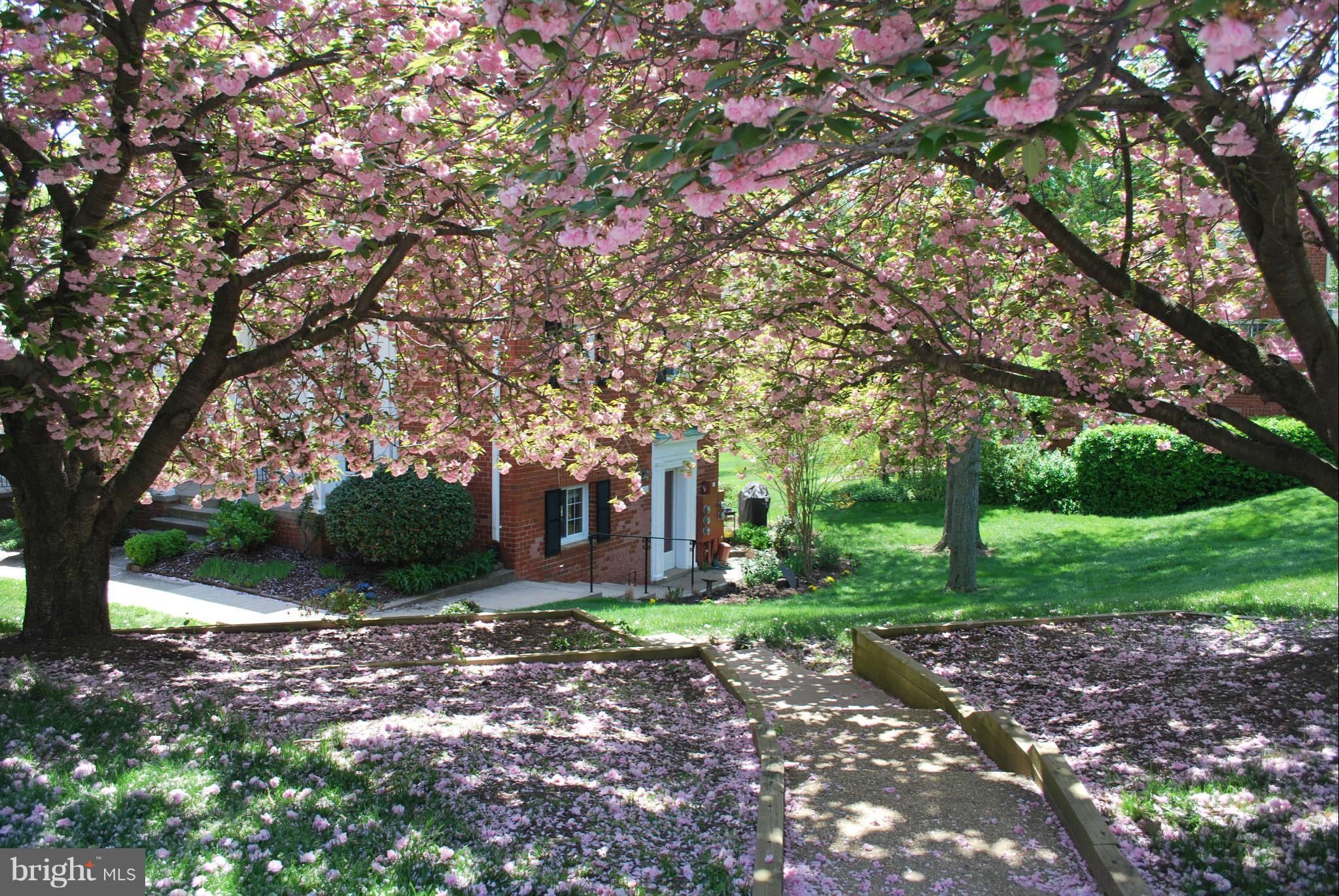 1770 Preston Road, Unit 823 Alexandria, VA 22302 - Photo 20 of 21 View