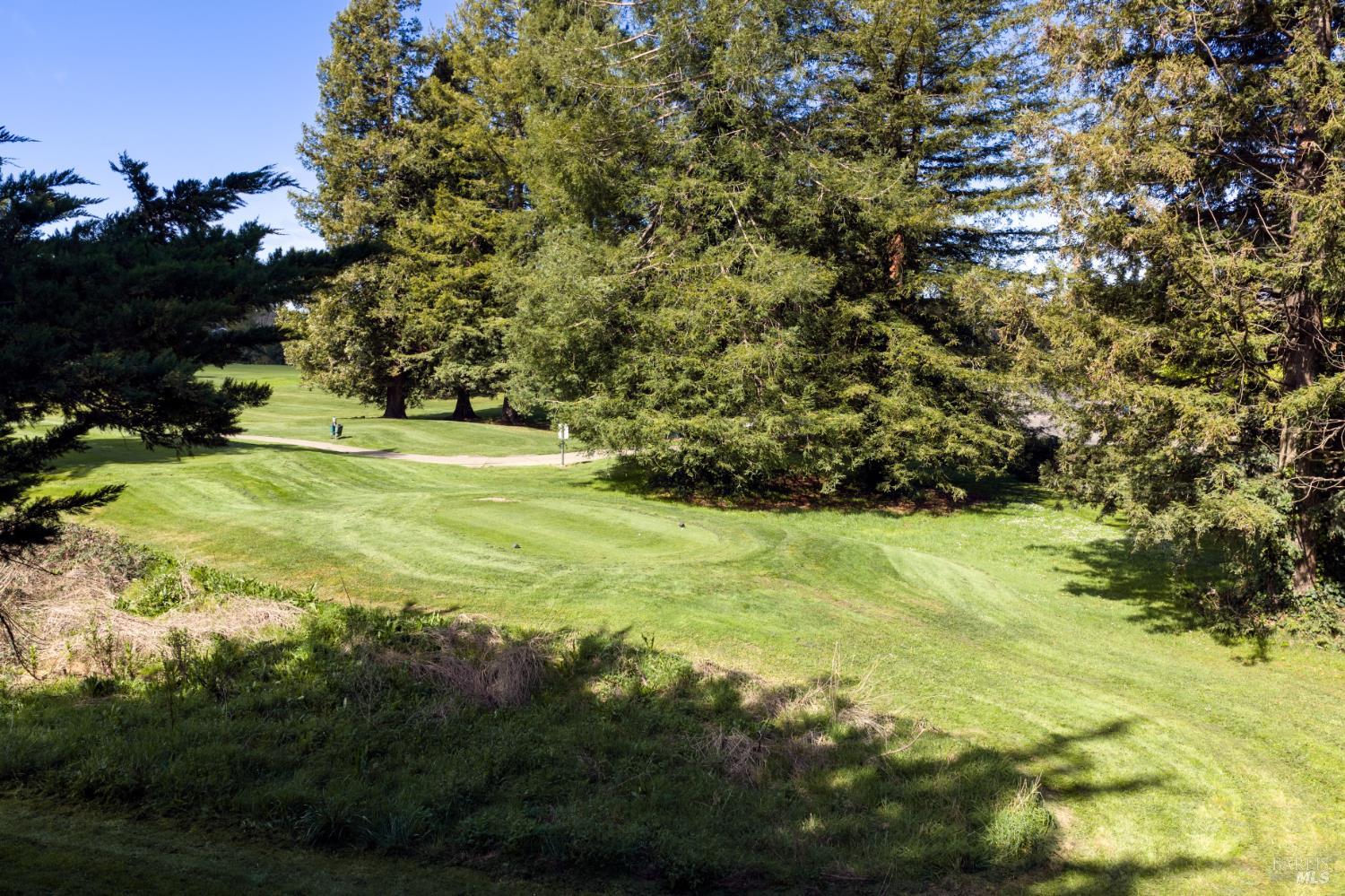790 Hudis Street Rohnert Park, CA 94928 - Photo 35 of 41 a view of a yard with an outdoor space